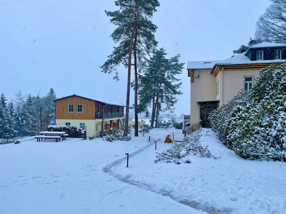 Waldidylle Gohrisch, Pension Und Ferienwohnungen Exterior photo
